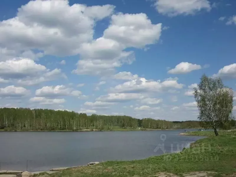 Участок в Новосибирская область, Новосибирский район, Станционный ... - Фото 0