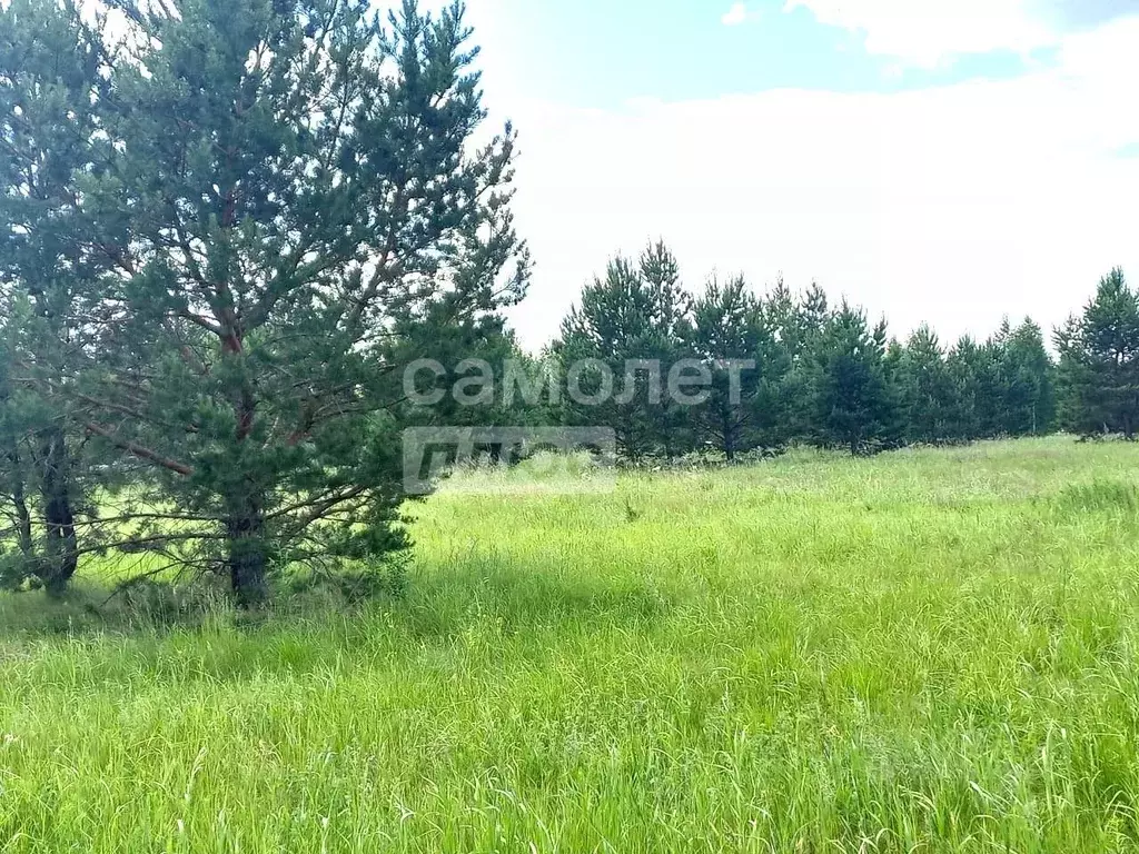 Участок в Курганская область, Кетовский муниципальный округ, Южный ДНТ ... - Фото 2