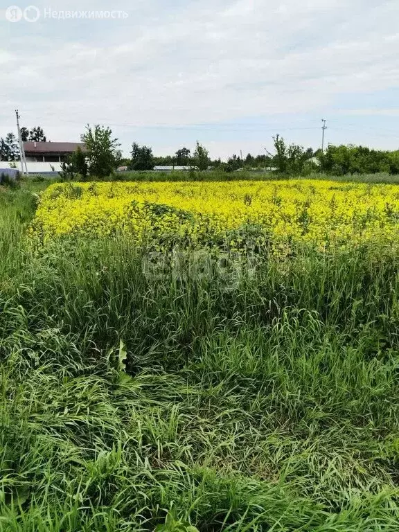 Участок в Курган, микрорайон Тополя (13.2 м) - Фото 0