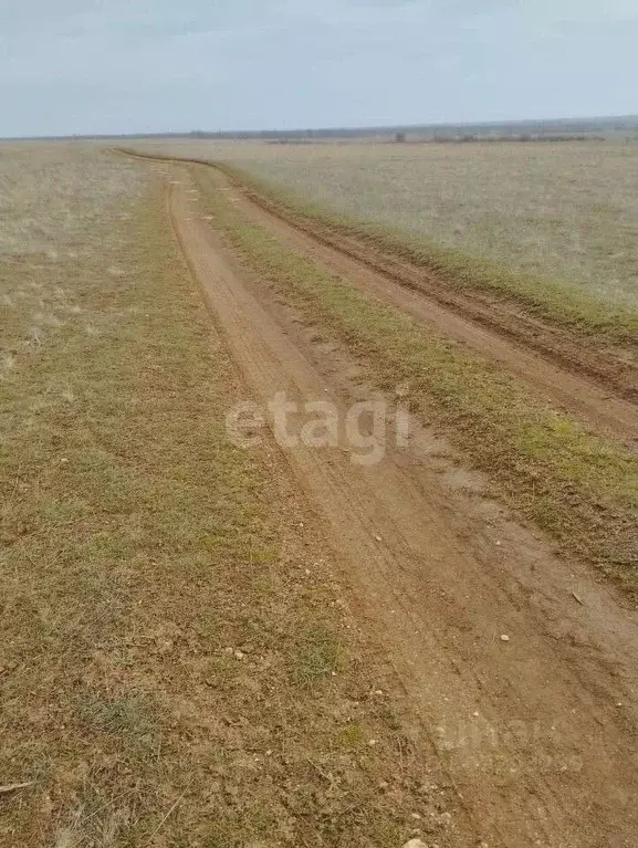 Участок в Крым, Черноморский район, Оленевское с/пос, с. Оленевка  ... - Фото 0