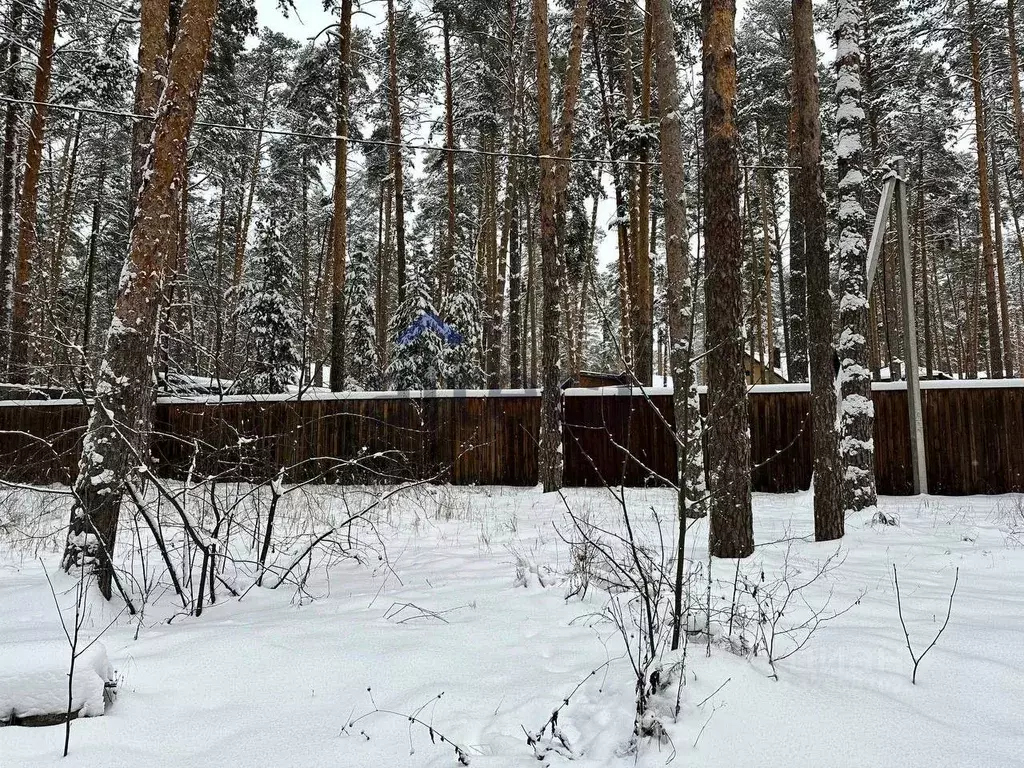 Участок в Татарстан, Лаишевский район, д. Матюшино 344 (10.0 сот.) - Фото 1