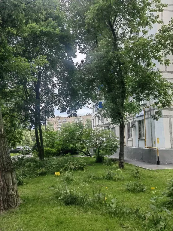 Продаётся 2-к квартира, 39 м - Фото 1
