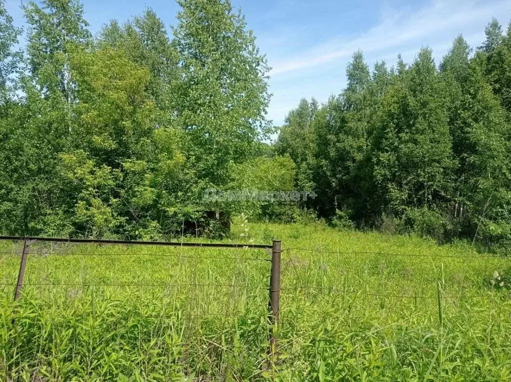 Участок в Кемеровская область, Новокузнецк Кузнецкий садовод СНТ,  ... - Фото 1