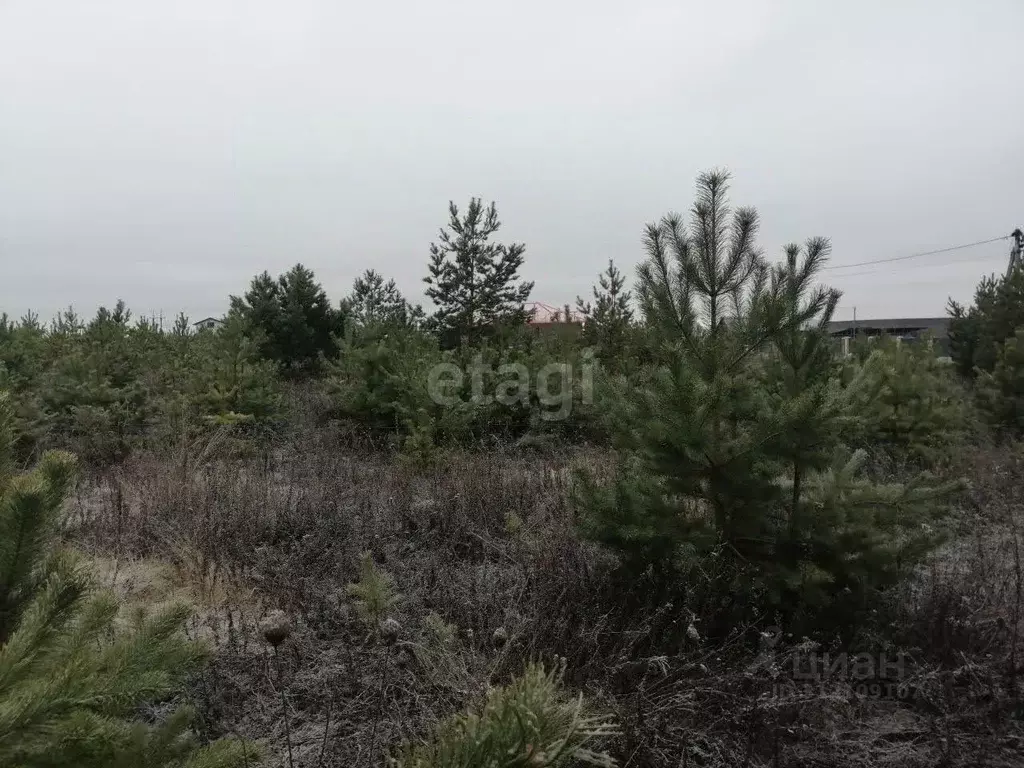 Участок в Курская область, Курский район, Моковский сельсовет, д. ... - Фото 0