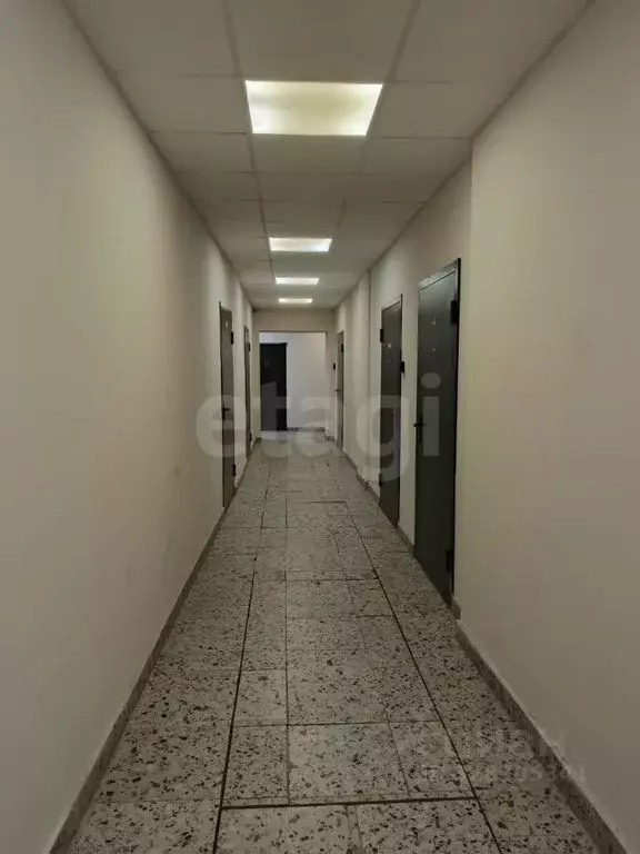 Студия Санкт-Петербург пер. Майков, 4а (16.1 м) - Фото 2