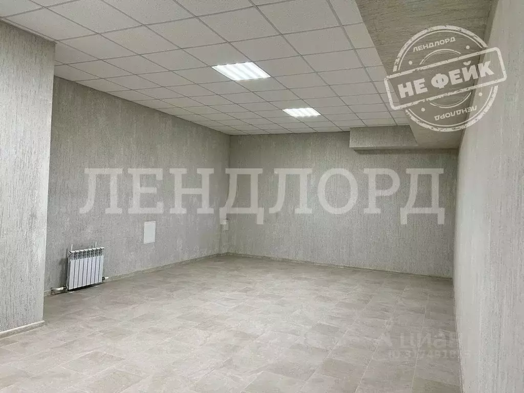 Помещение свободного назначения в Ростовская область, Ростов-на-Дону ... - Фото 0