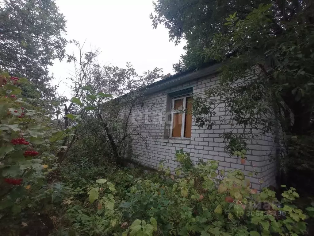 Дом в Псковская область, Островский район, Горайская волость, д. ... - Фото 0