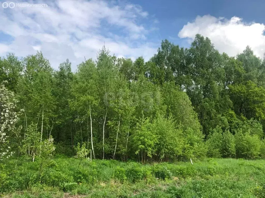 Участок в Алексин, СТ Рассвет (10 м) - Фото 2