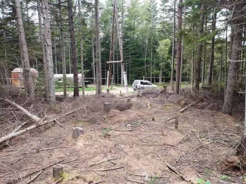 Участок в Сахалинская область, Корсаковский городской округ, с. ... - Фото 1