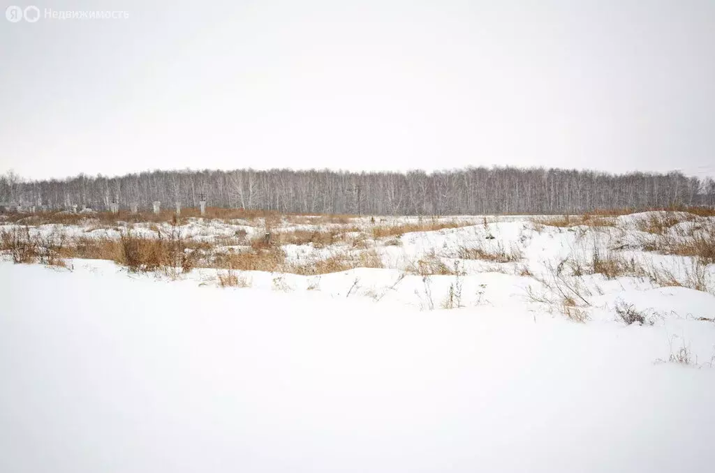 Участок в Исетский район, село Бобылево (124 м) - Фото 0