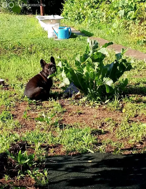 Участок в Волгодонск, садовое некоммерческое товарищество Ветеран (9 ... - Фото 2