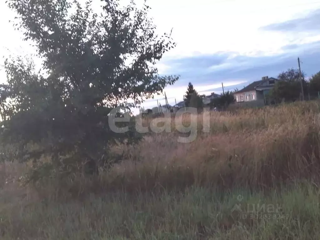 Участок в Саратовская область, Балашовский район, Хоперское ... - Фото 0