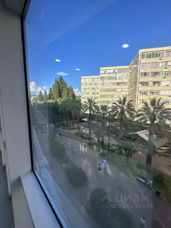 Помещение свободного назначения в Краснодарский край, Сочи Центральный ... - Фото 1