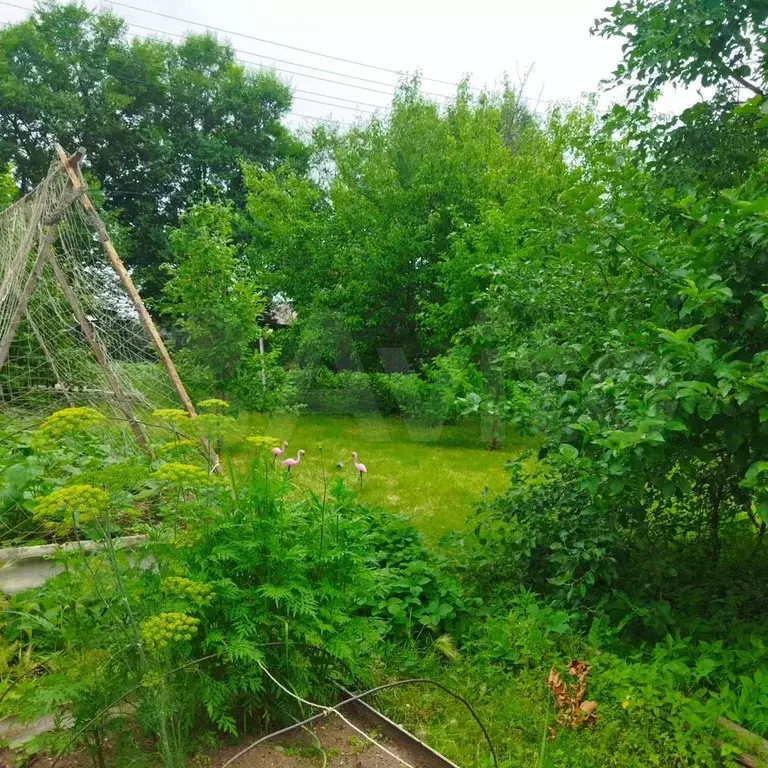 Дом 70 м на участке 12,4 сот. - Фото 1