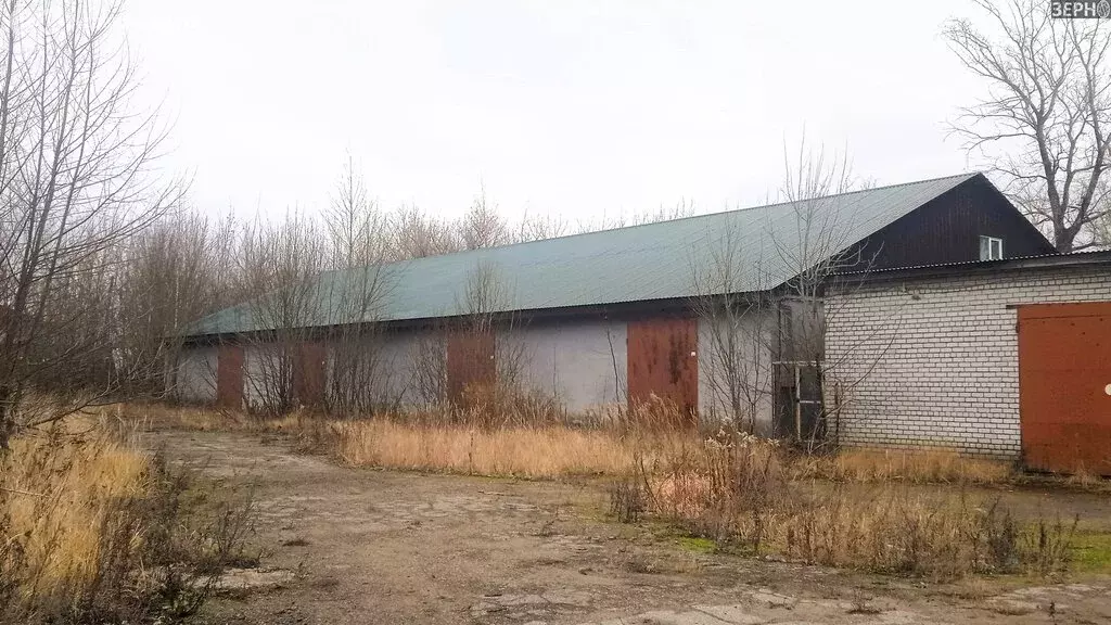Помещение свободного назначения (603 м) - Фото 0