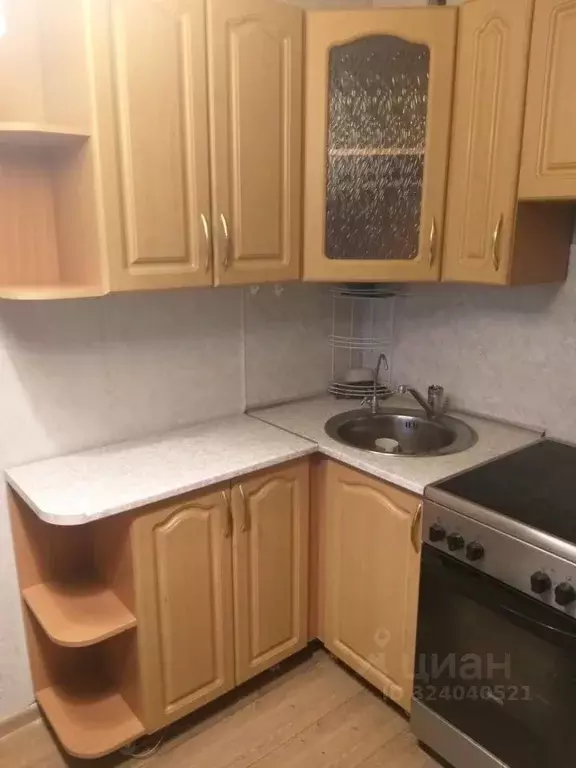 Студия Новосибирская область, Бердск Лунная ул., 1 (25.0 м) - Фото 2