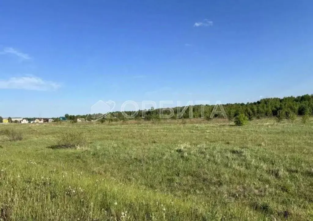 Участок в Тюменская область, Нижнетавдинский район, с. Бухтал ул. ... - Фото 1