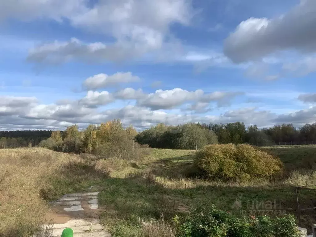 Участок в Ленинградская область, Выборгский район, Полянское с/пос, ... - Фото 2
