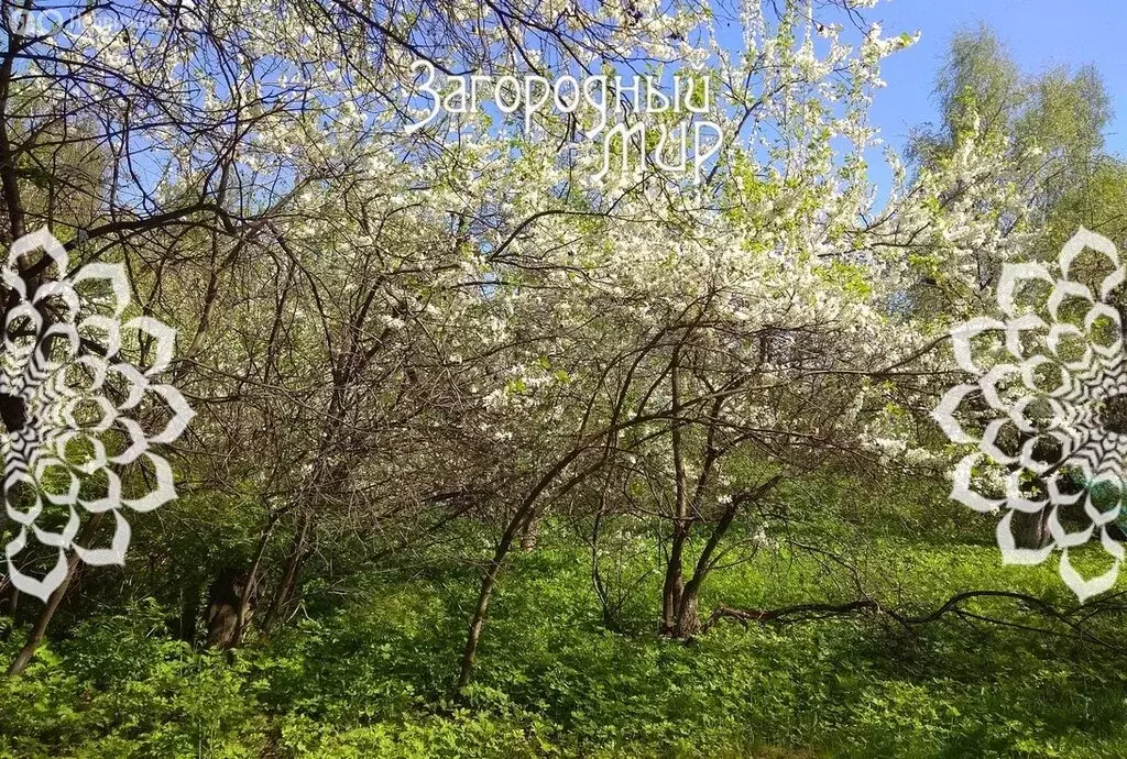 Участок в Балашиха, микрорайон Салтыковка, Октябрьская улица (15 м) - Фото 2