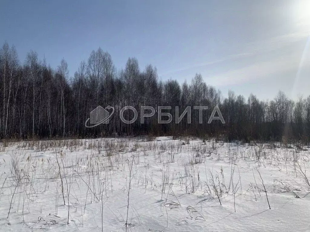 Участок в Тюменская область, Нижнетавдинский район, Стройтрансервис ... - Фото 0
