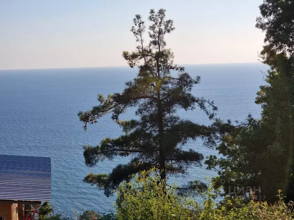 Участок в Краснодарский край, Сочи Ландыш садовое товарищество,  (10.0 ... - Фото 1