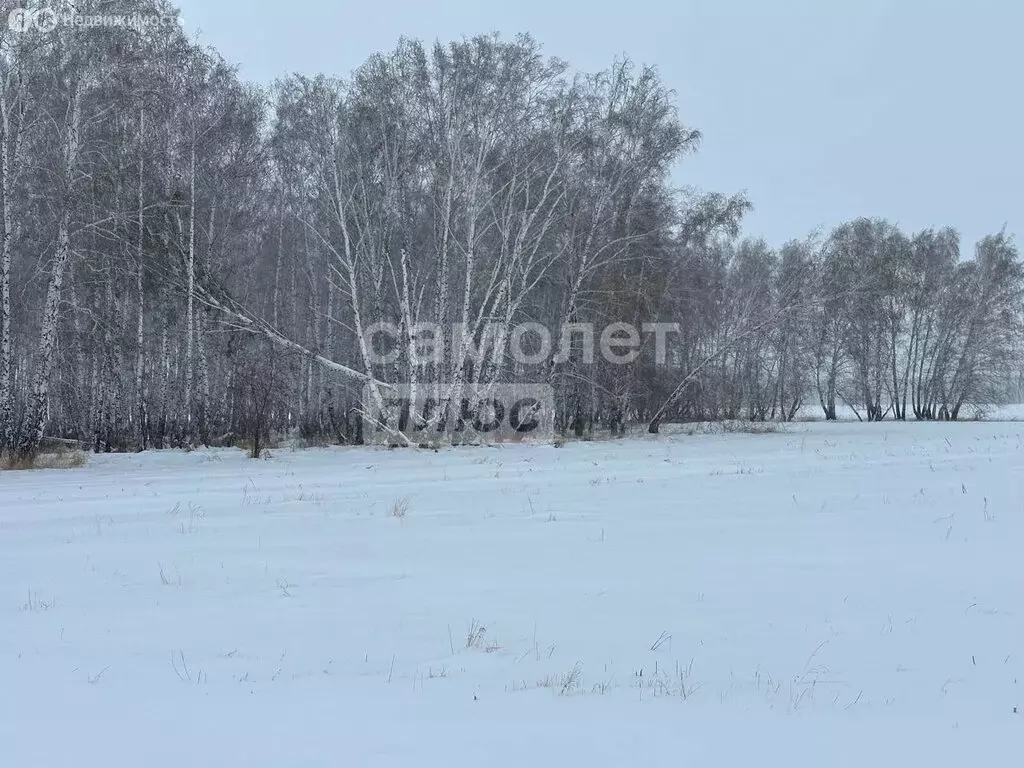 Участок в село Цветнополье, Северная улица (12.2 м) - Фото 0