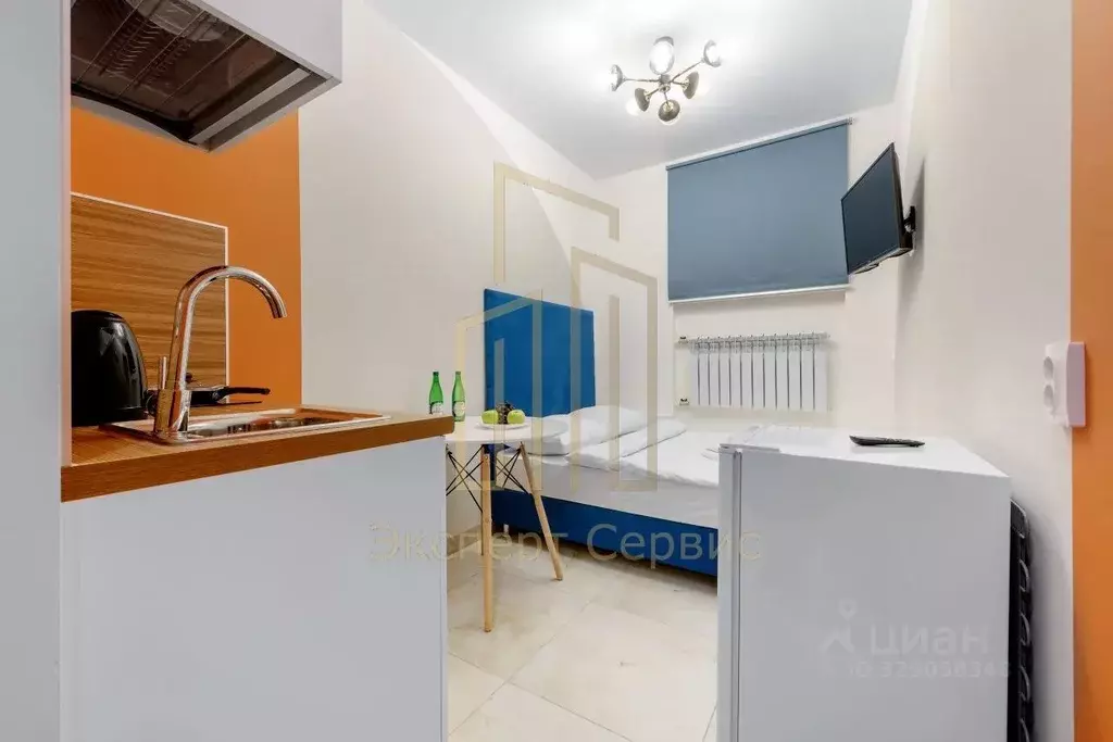 Студия Санкт-Петербург ул. Чехова, 5 (12.2 м) - Фото 1