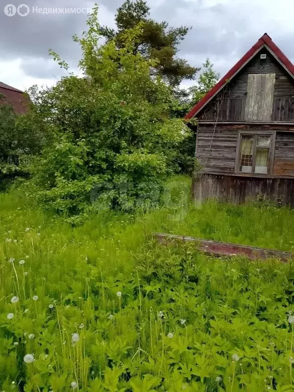 Участок в Санкт-Петербург, садоводство Дружный-1 (8.91 м) - Фото 2