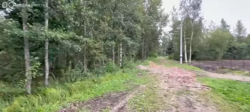 Участок в Панковское городское поселение, садоводческий массив № 3, ... - Фото 2