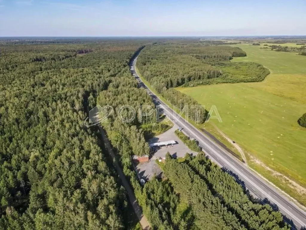 Участок в Тюменская область, Ярковский муниципальный округ, с. ... - Фото 2