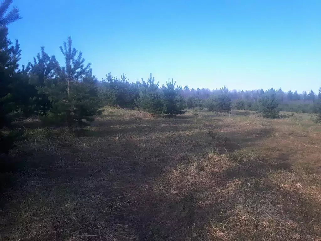 Участок в Владимирская область, Владимир д. Уварово,  (7.43 сот.) - Фото 0