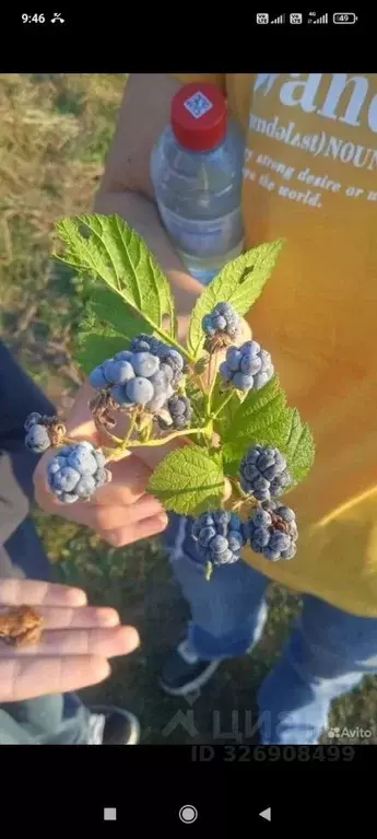 Участок в Брянская область, Унечский район, Высокское с/пос  (9.5 ... - Фото 2