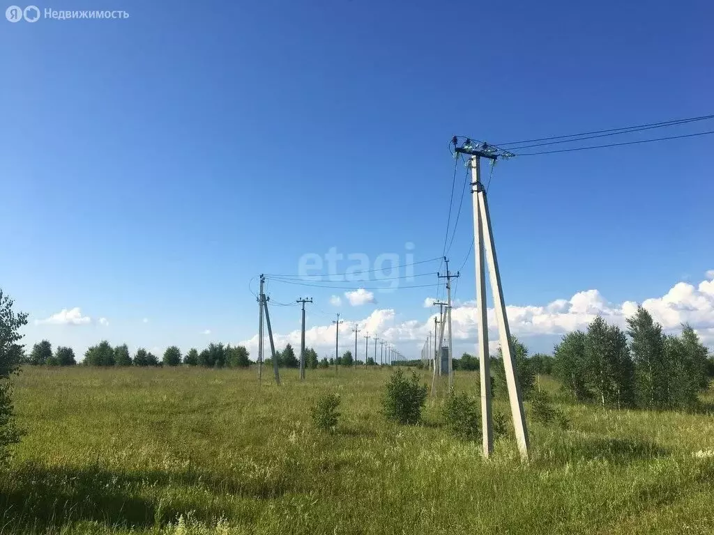 Участок в Кемеровский муниципальный округ, село Елыкаево (12 м) - Фото 1