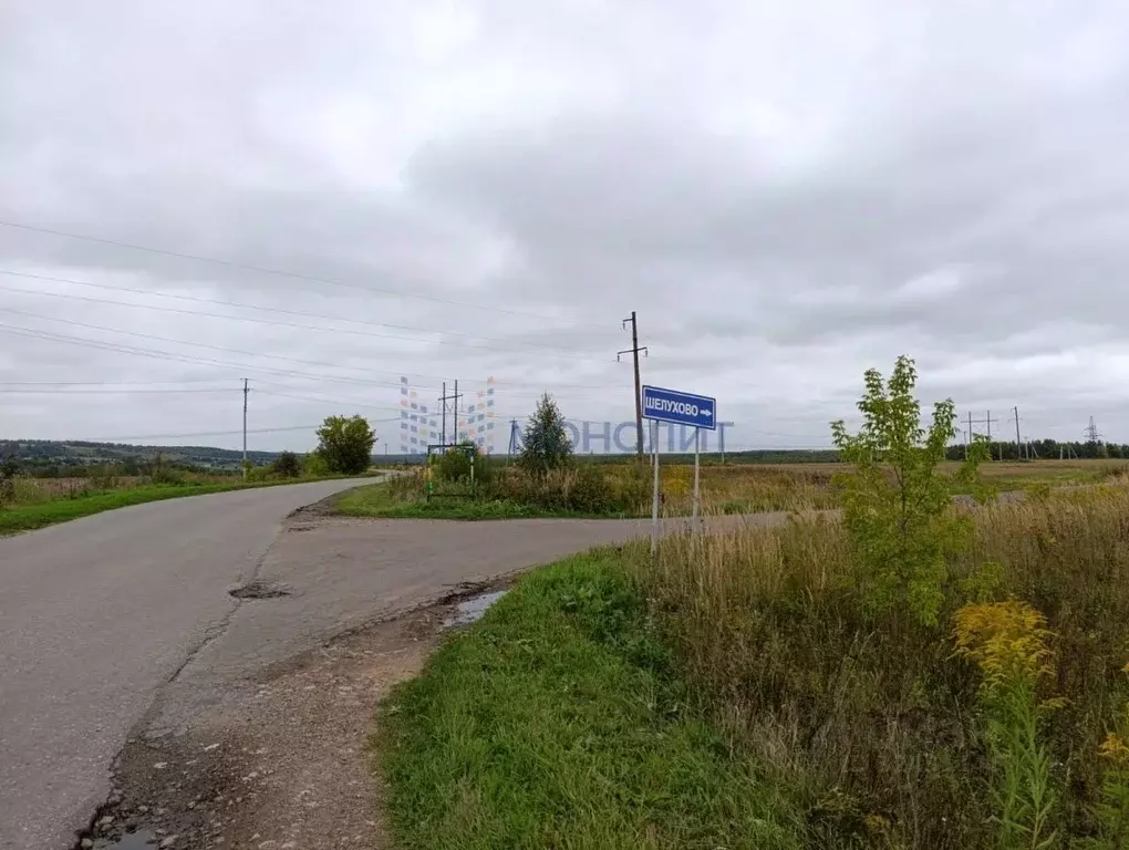 Участок в Нижегородская область, Богородский муниципальный округ, д. ... - Фото 2