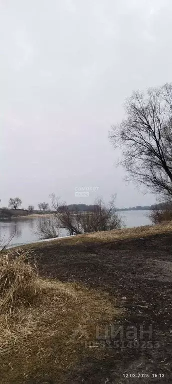 Участок в Рязанская область, Рыбновский район, Пощуповское с/пос, с. ... - Фото 0