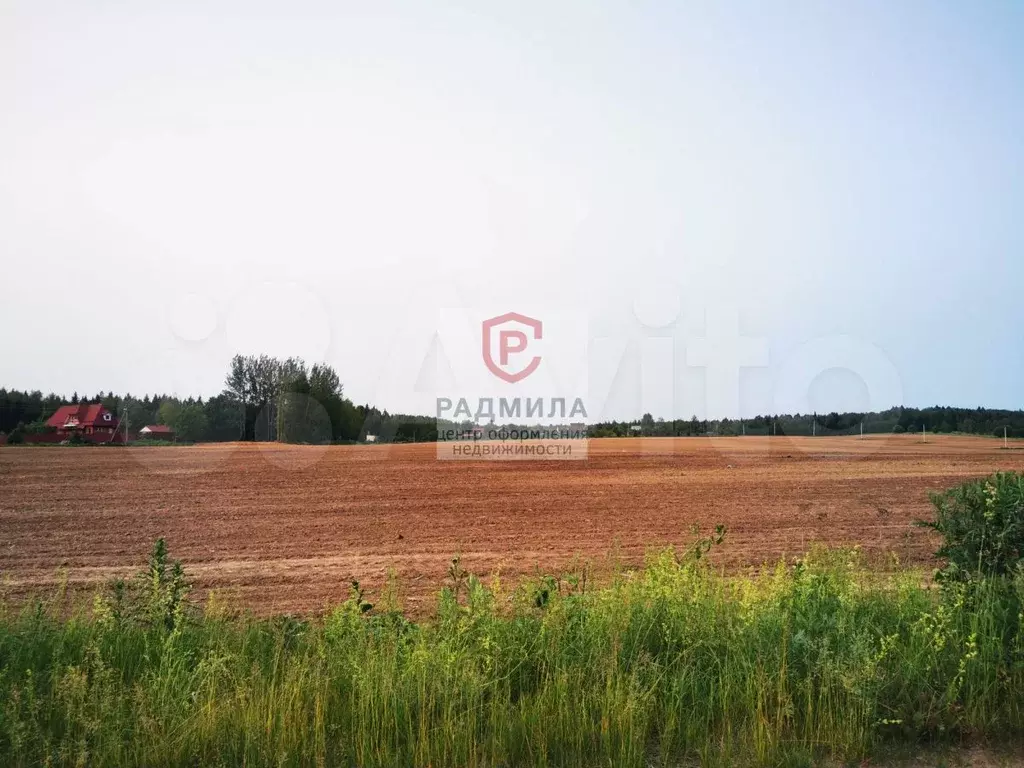 Участок 8 сот. (СНТ, ДНП) - Фото 1