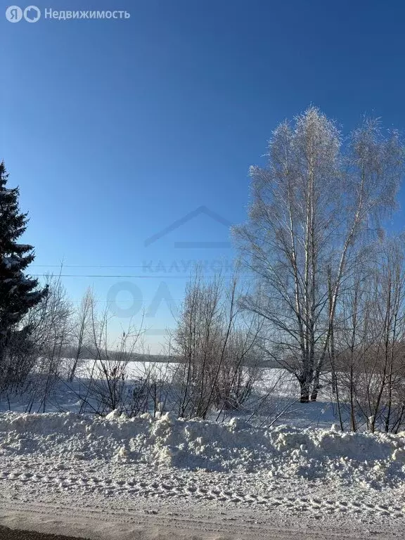 Участок в Калужская область, Ферзиковский муниципальный округ, ... - Фото 2