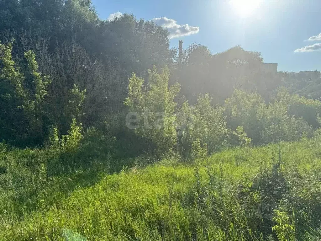 Участок в Курская область, Курский район, Щетинский сельсовет, Лесок ... - Фото 1