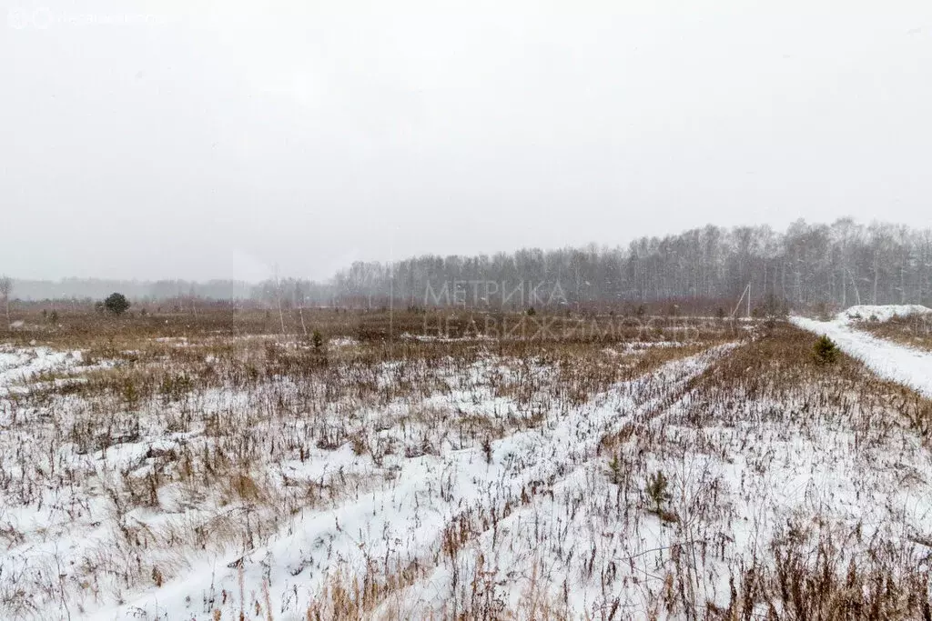 Участок в Тюменский район, село Кулига (12.5 м) - Фото 1