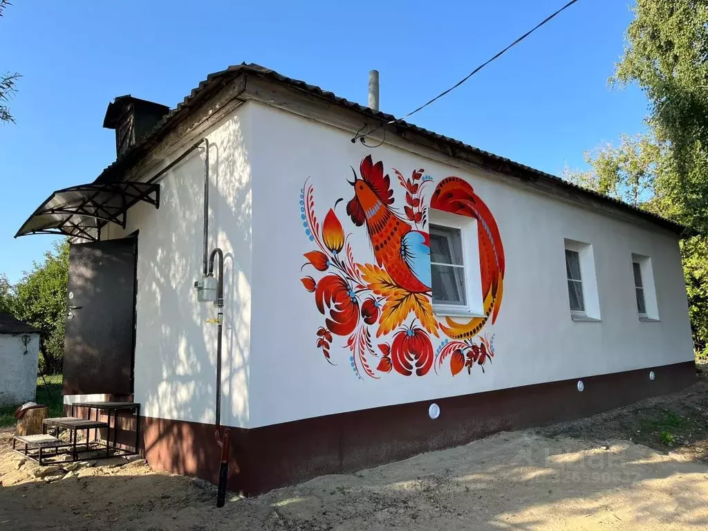 Дом в Липецкая область, Хлевенский муниципальный округ, с. Дмитряшевка ... - Фото 1