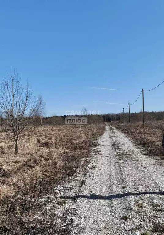 Участок в Ленинградская область, Тосненский район, Любанское городское ... - Фото 1