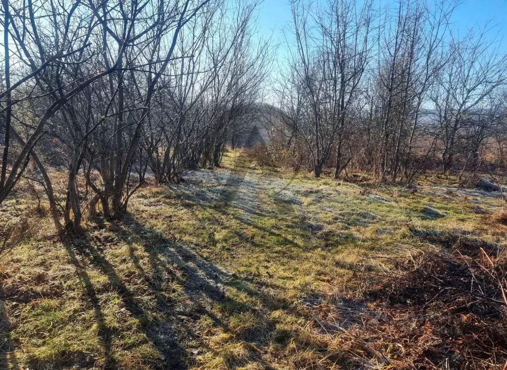 Участок в Краснодарский край, Хадыженск Апшеронский район, ул. Галкина ... - Фото 1