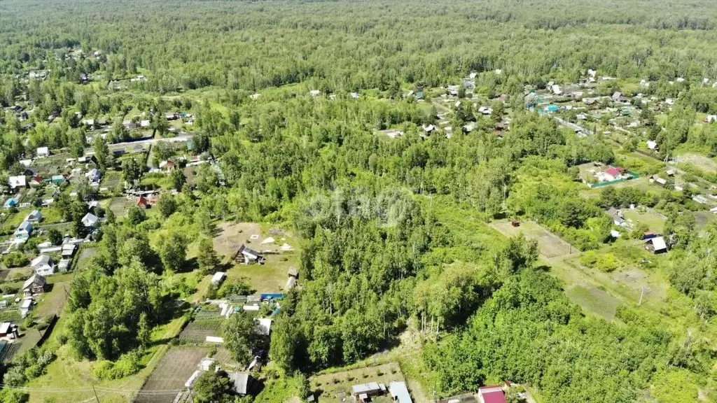 Участок в Тюменская область, Тюменский район, с. Горьковка  (17.0 ... - Фото 1