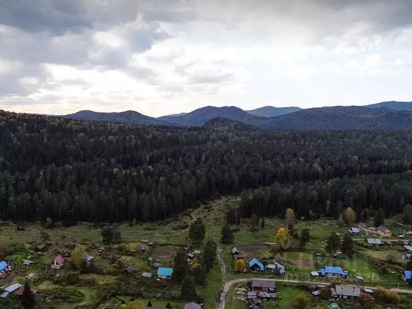 Участок в Алтай, Турочакский район, с. Кебезень  (250.0 сот.) - Фото 1