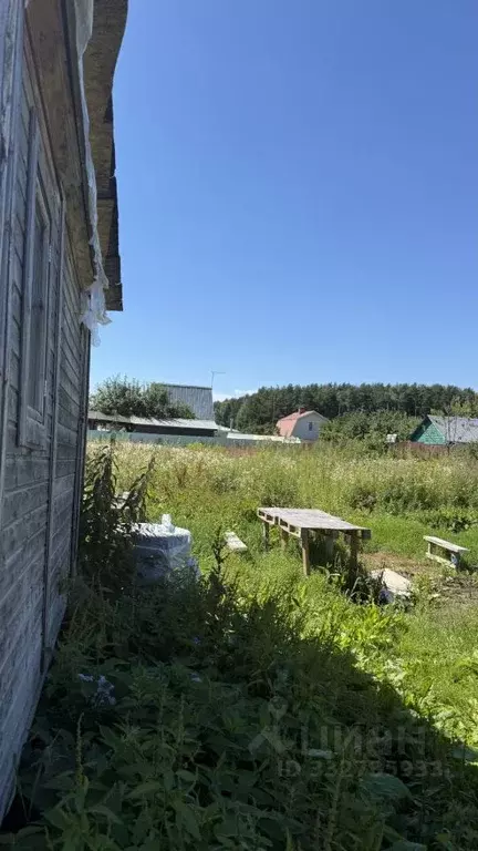 Участок в Москва Черный Луг СНТ, ул. Тихая, 274 (6.0 сот.) - Фото 2