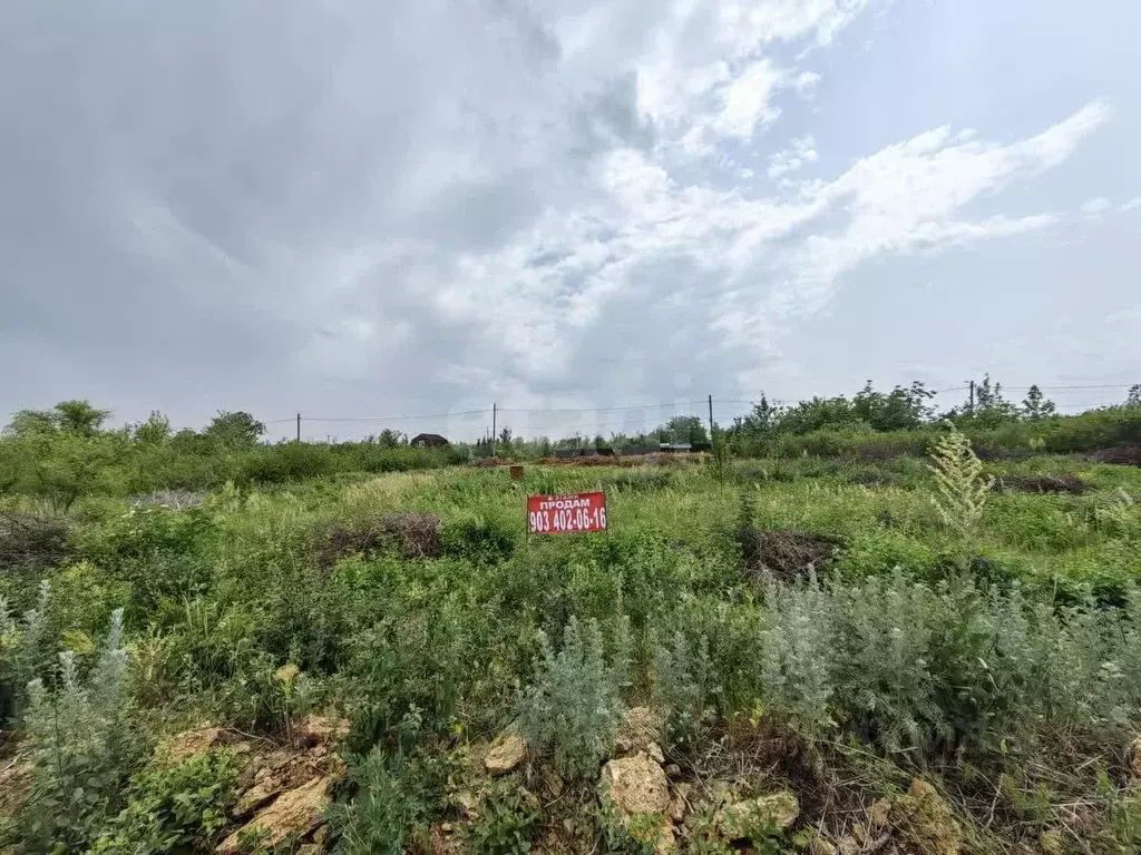 Участок в Ростовская область, Родионово-Несветайский район, ... - Фото 2