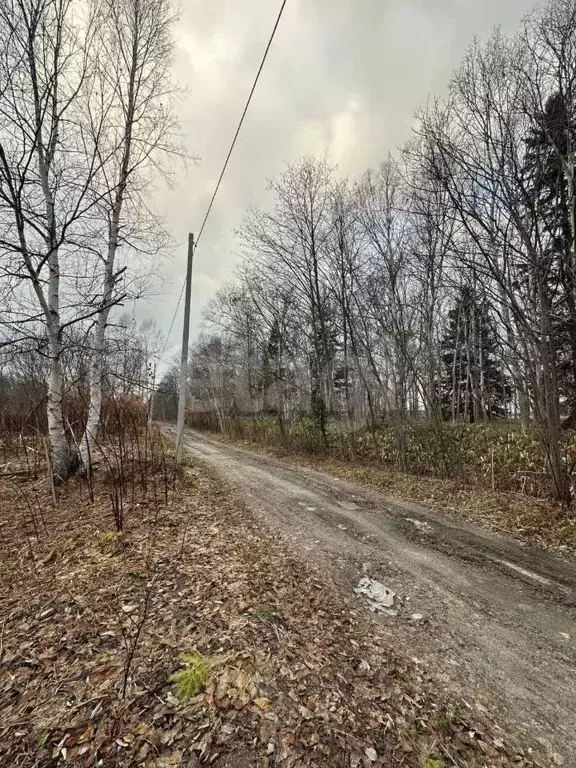 Участок в Сахалинская область, Южно-Сахалинск Ново-Александровск п/р, ... - Фото 1