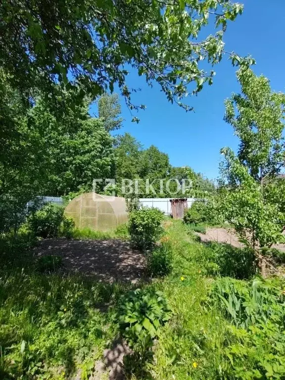 Участок в Костромская область, Кострома Пантусово мкр, ул. ... - Фото 2