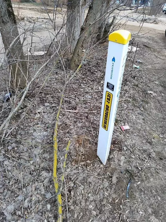 Участок в Московская область, Электросталь Мичуринец СНТ, 39 (9.0 ... - Фото 2