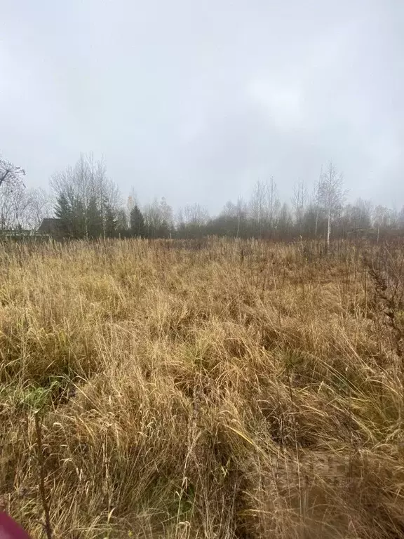 Участок в Липецкая область, Липецкий муниципальный округ, д. Новая  ... - Фото 1